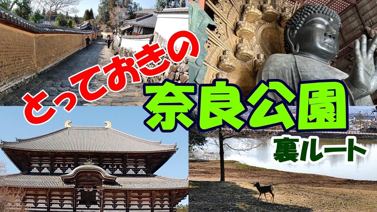 人混みが苦手ならココ　『奈良公園』穴場ルート！　～2時間弱のコース～