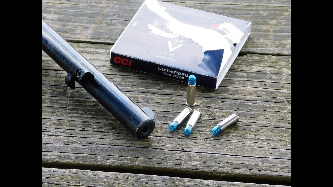 CCI 22 LR Shotshell Ammo Test