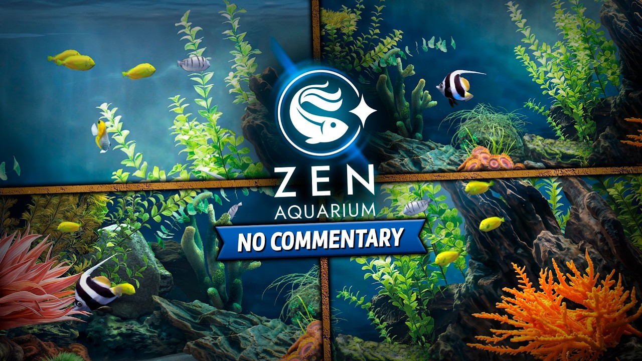 Zen Aquarium | First 10 Minutes Gameplay, No Commentary