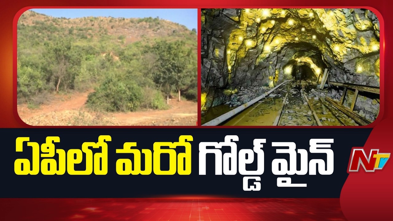 AP Government Invites Tenders For Chigurugunta Gold Mining Project | NTV Telugu