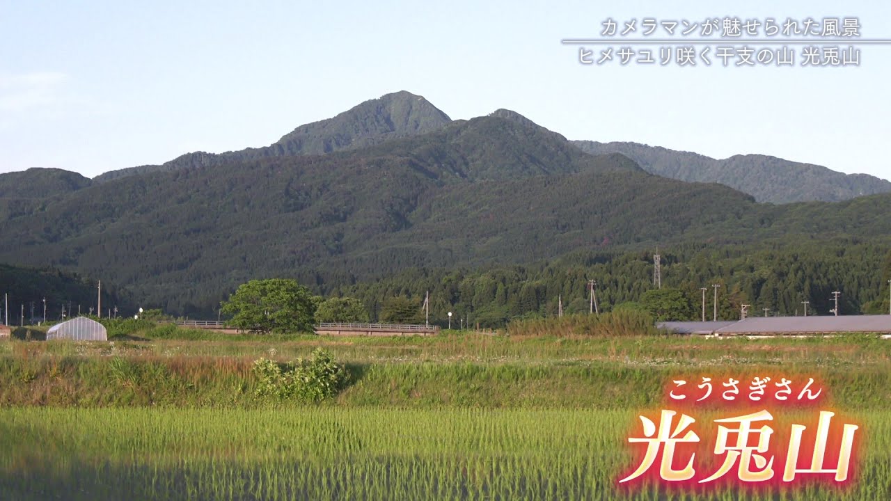 “月の使い”ウサギ伝説残る 光兎山（こうさぎさん）へ…ヒメサユリ咲き誇る初夏の山歩き　新潟・関川村【カメラマンが魅せられた風景】