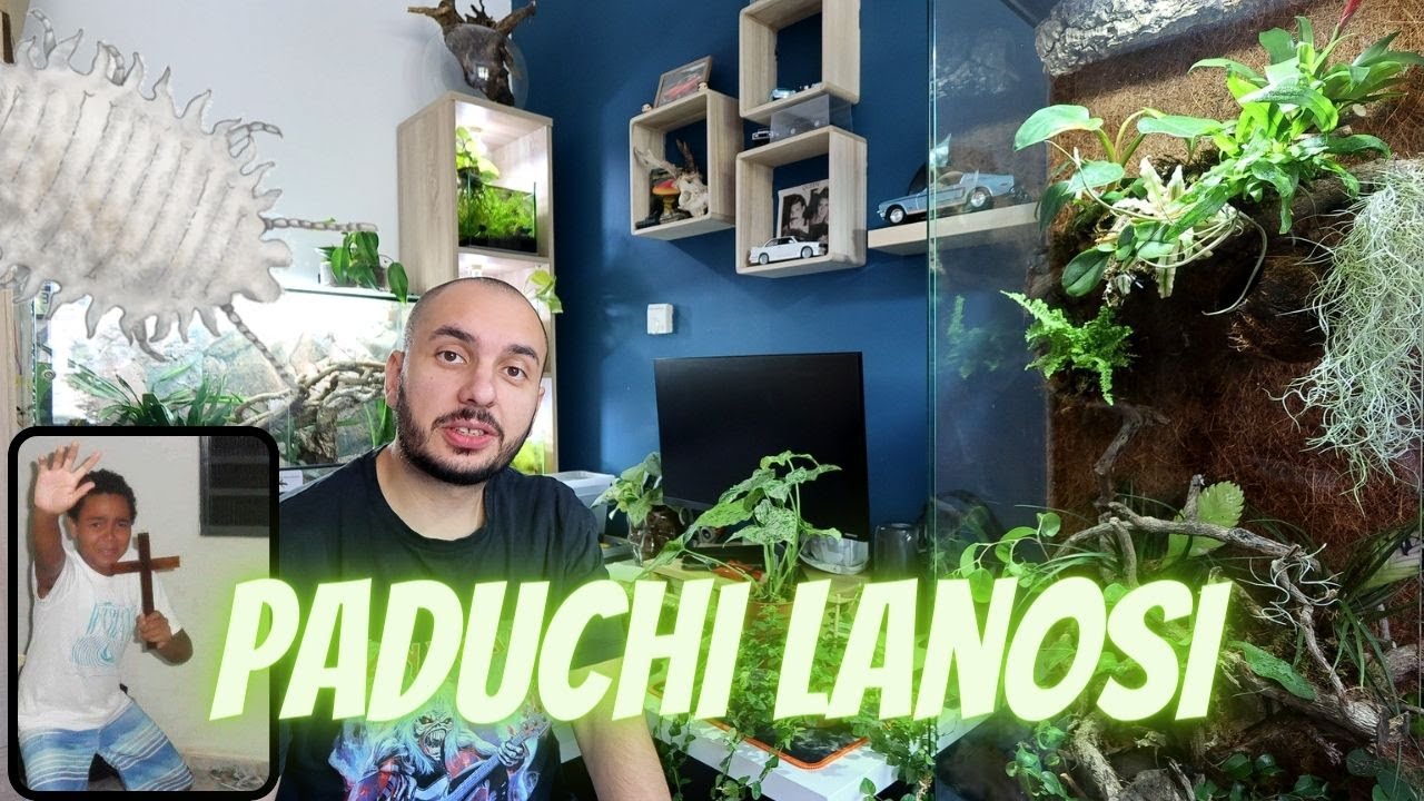 TRATAMENT PENTRU PADUCHII LANOSI