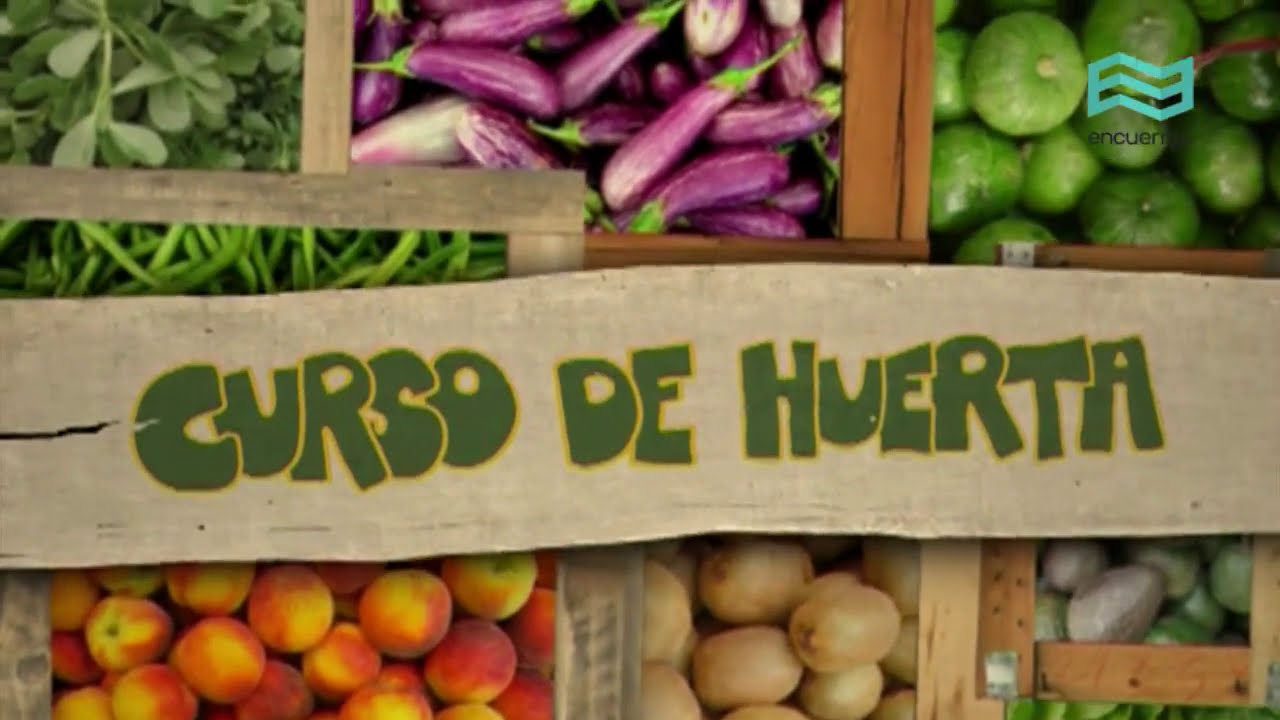Oficios. Curso de huerta: La huerta en macetas (cap&iacute;tulo completo) - Canal Encuentro