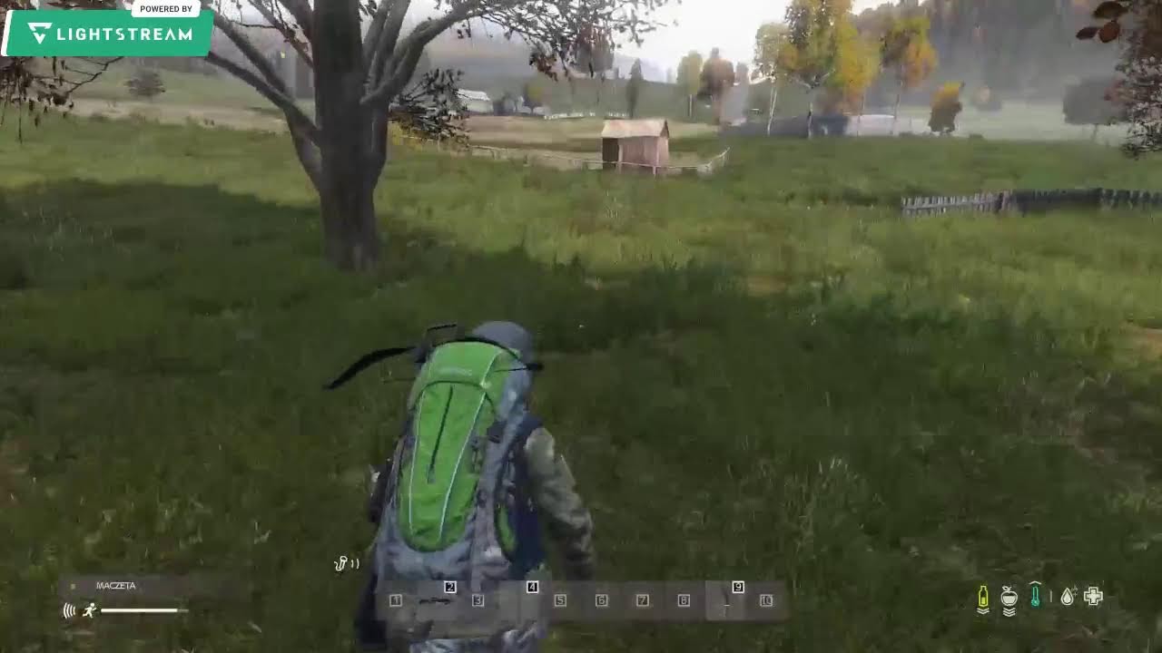 Noworoczny strumyk w kilku częściach - DAYZ