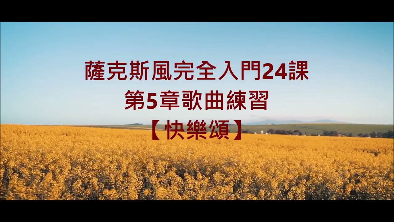 快樂頌---Alto Saxophone Cover