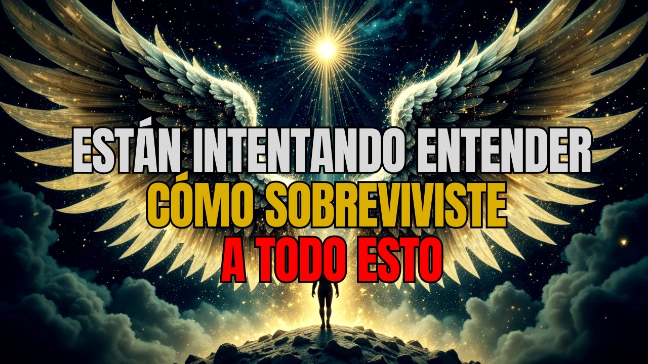 ELEGIDOS: Están Intentando Entender Cómo Sobreviviste a Todo Esto
