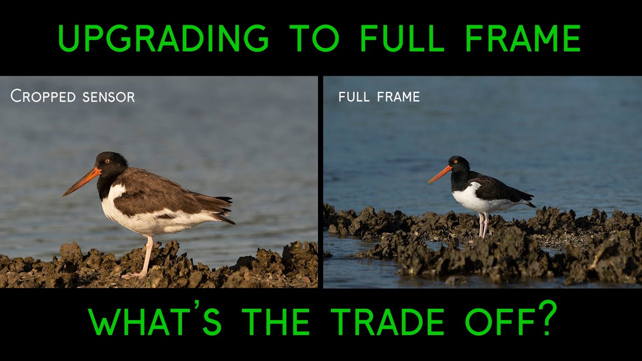 Upgrading from APS-C to Full Frame - What's the Trade-Off?