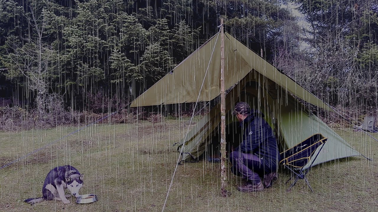 Кемпинг под проливным дождем с моими собаками ⛈️ Расслабляющий приют - Сон под шум дождя - ASMR
