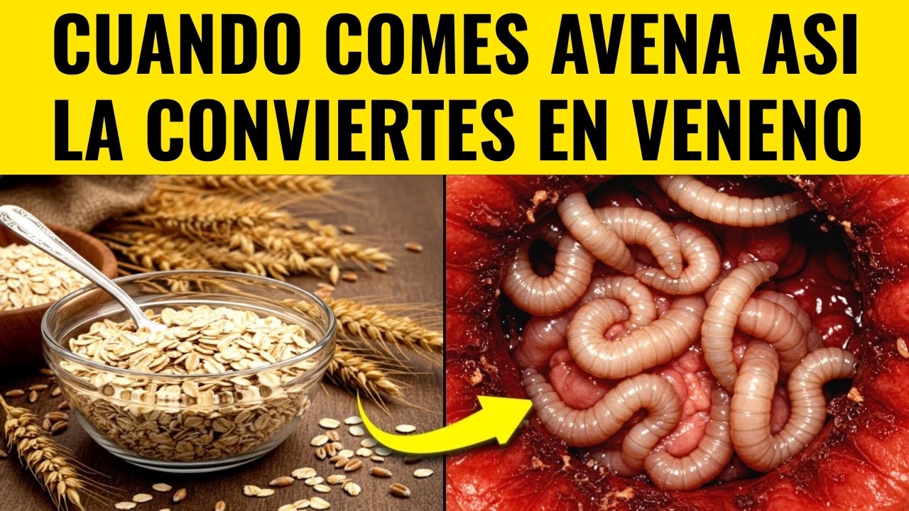 ATENCIÓN Adulto Mayor: 7 Errores con la Avena que ESTÁN Dañando tu Salud
