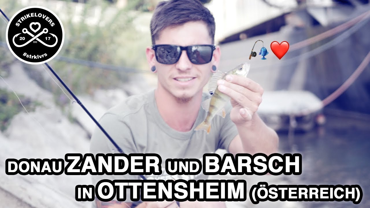 Donau-ZANDER 🎣❤️ und BARSCH (Ottensheim) 🇦🇹speaking 🇬🇧subtitles #strklvrs