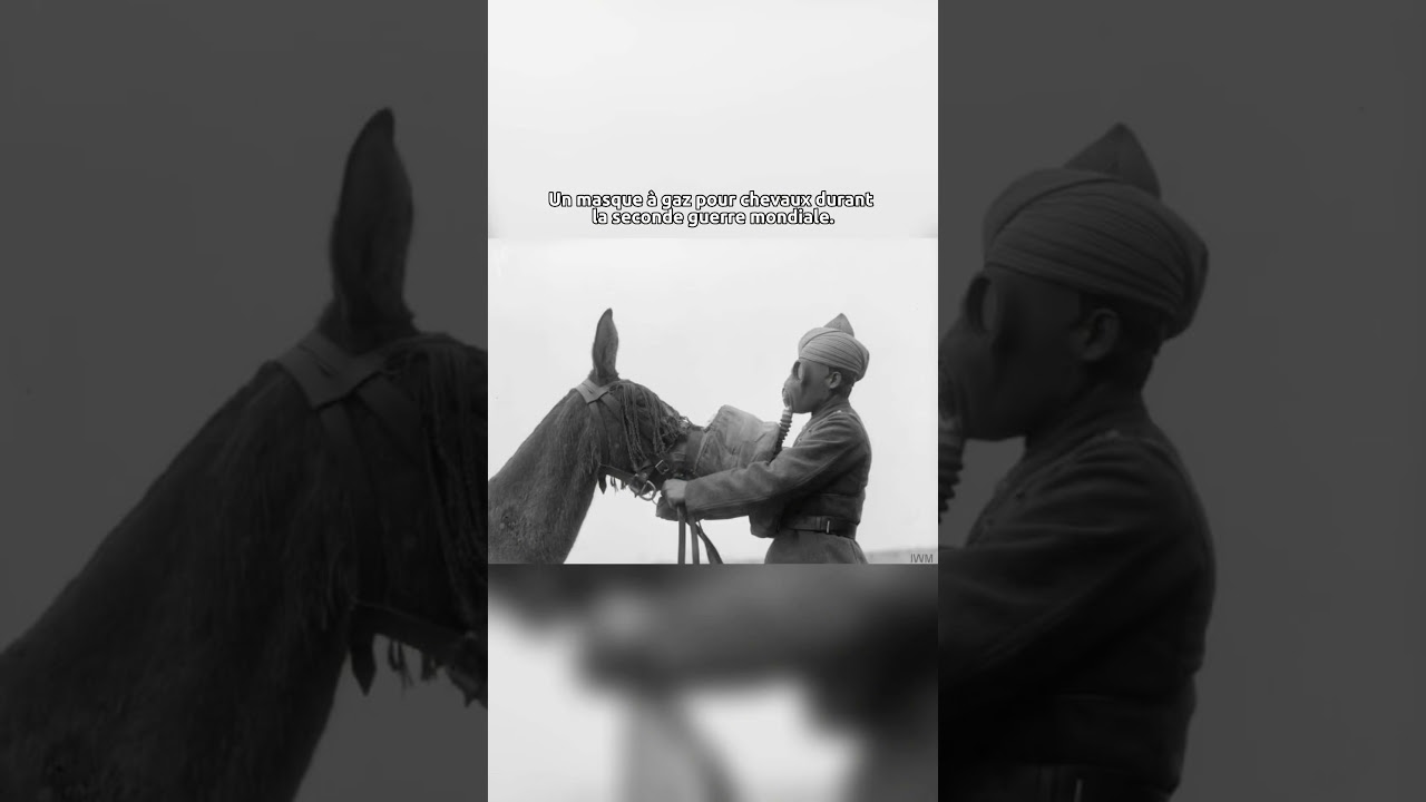 Photos 😱#photography #photo #history #foryou #edit #shortvideo #viral #abonnetoi #shorts