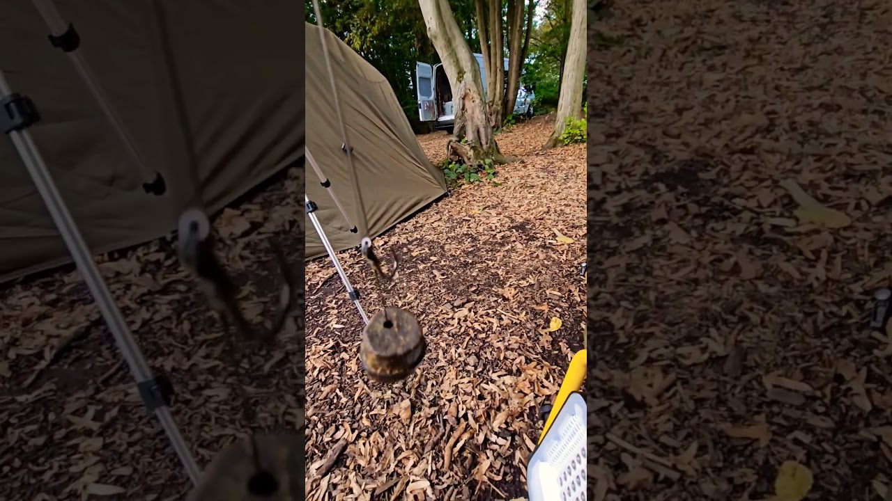 This CATFISH rig does the business #rigs #wels #catfish #catfishing #dynamitebaits #halibut