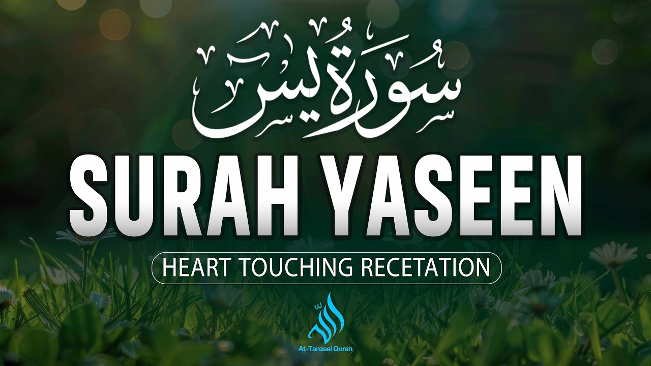 Surah Yaseen سورة يس | Soothing & Beautiful Recitation for Inner Peace by Alaa Aqel #quranforsleep