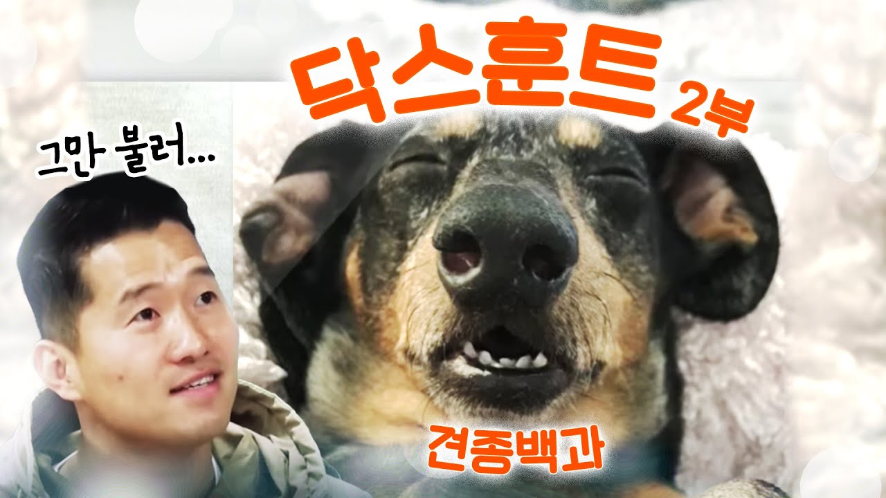 닥스훈트 편 2부｜강형욱의 견종백과