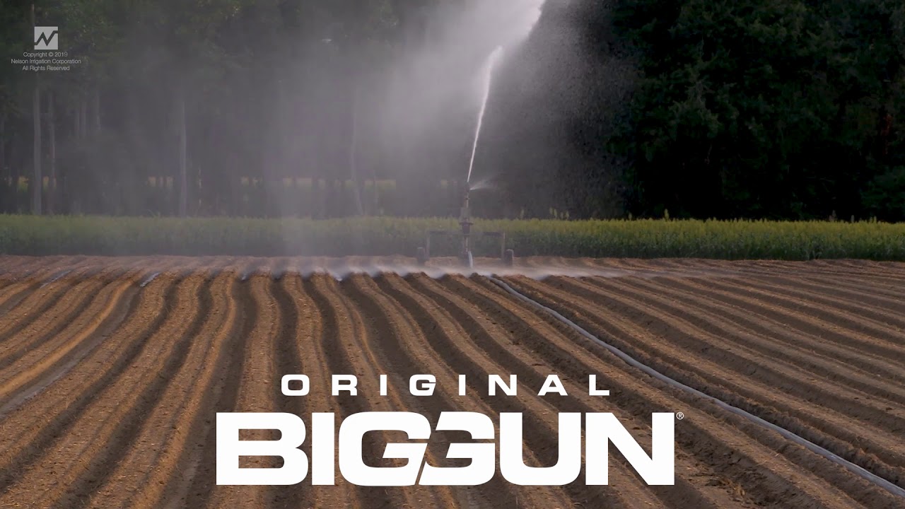 High Volume Water Canon Sprinkler on Hose Reel