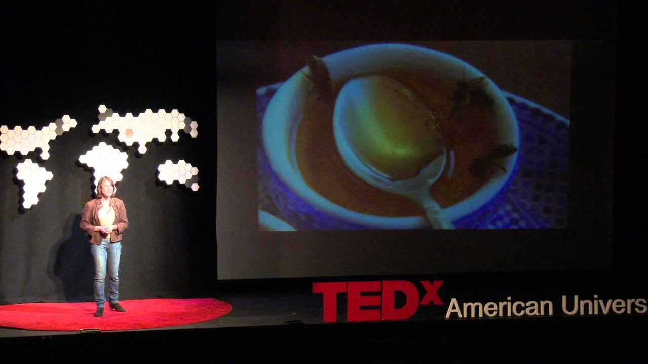 Behind the Buzz: The Honeybee in Global Politics | Eve Bratman | TEDxAmericanUniversity