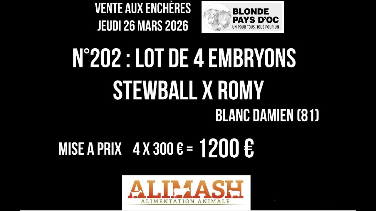 202 STEWBALL X ROMY   Vente Bexianis 2026   Blonde Pays d'Oc