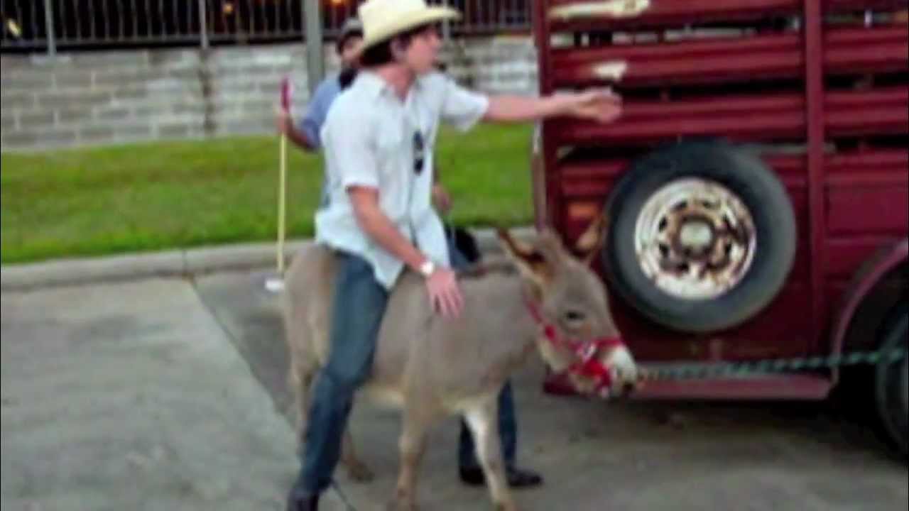 Johnny Bravo's Trail Ride on Westheimer. Enjoy a ride on a mini donkey.