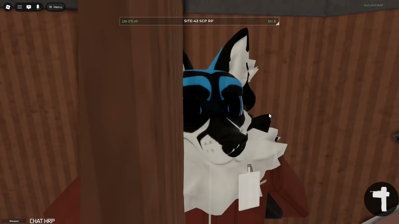 SCP site 43 (38)