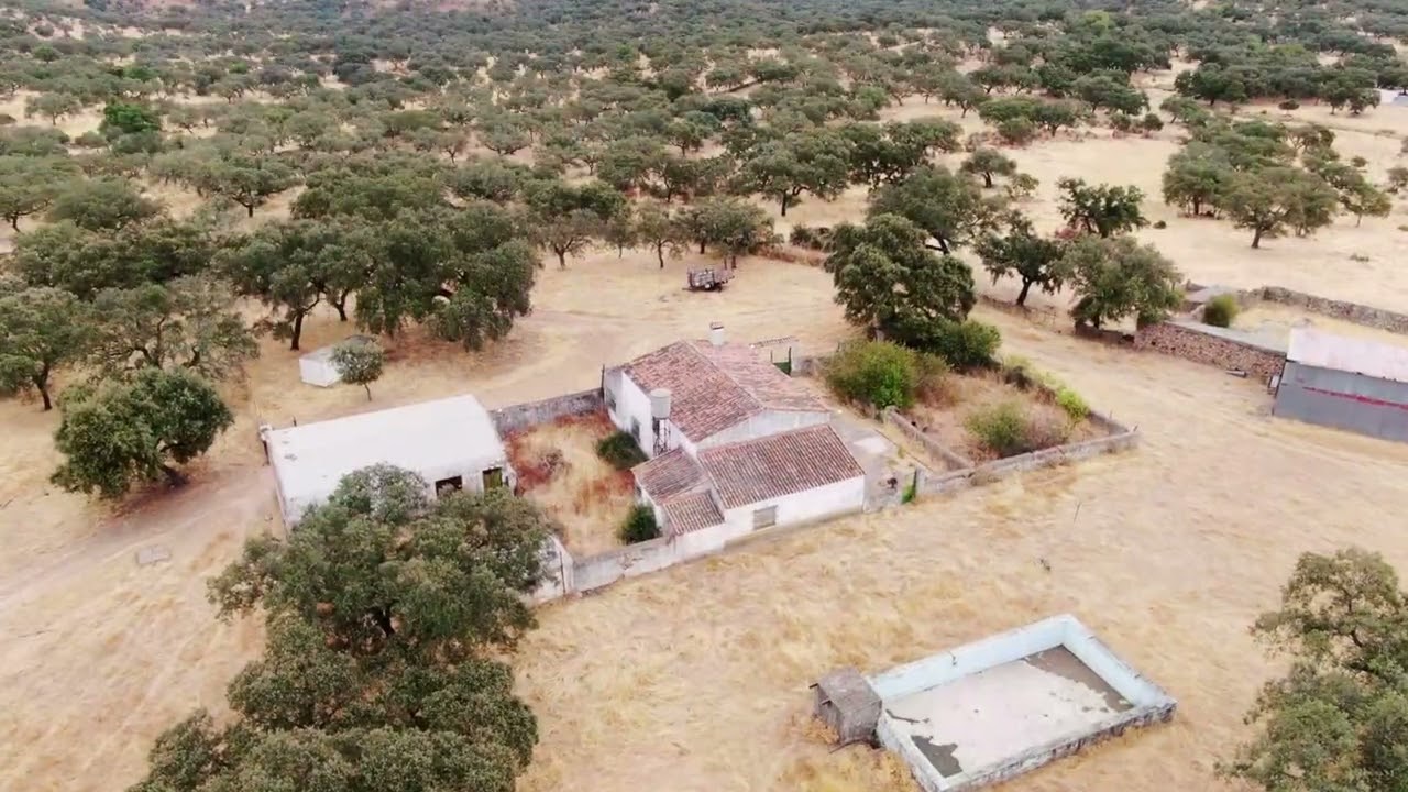 Finca con dehesa | AgroAnuncios.es