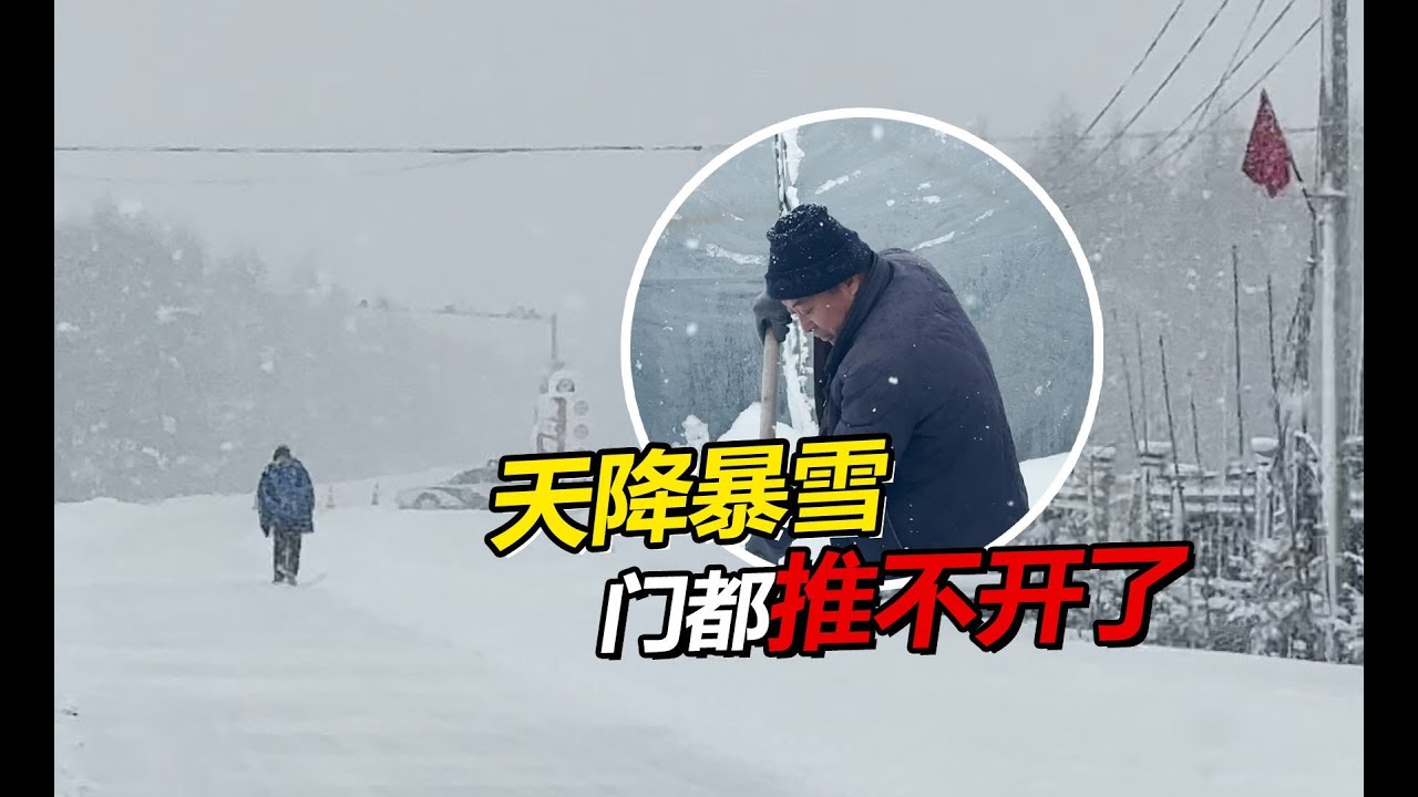 东北猫冬生活 天降暴雪持续几天 门都被堵住了