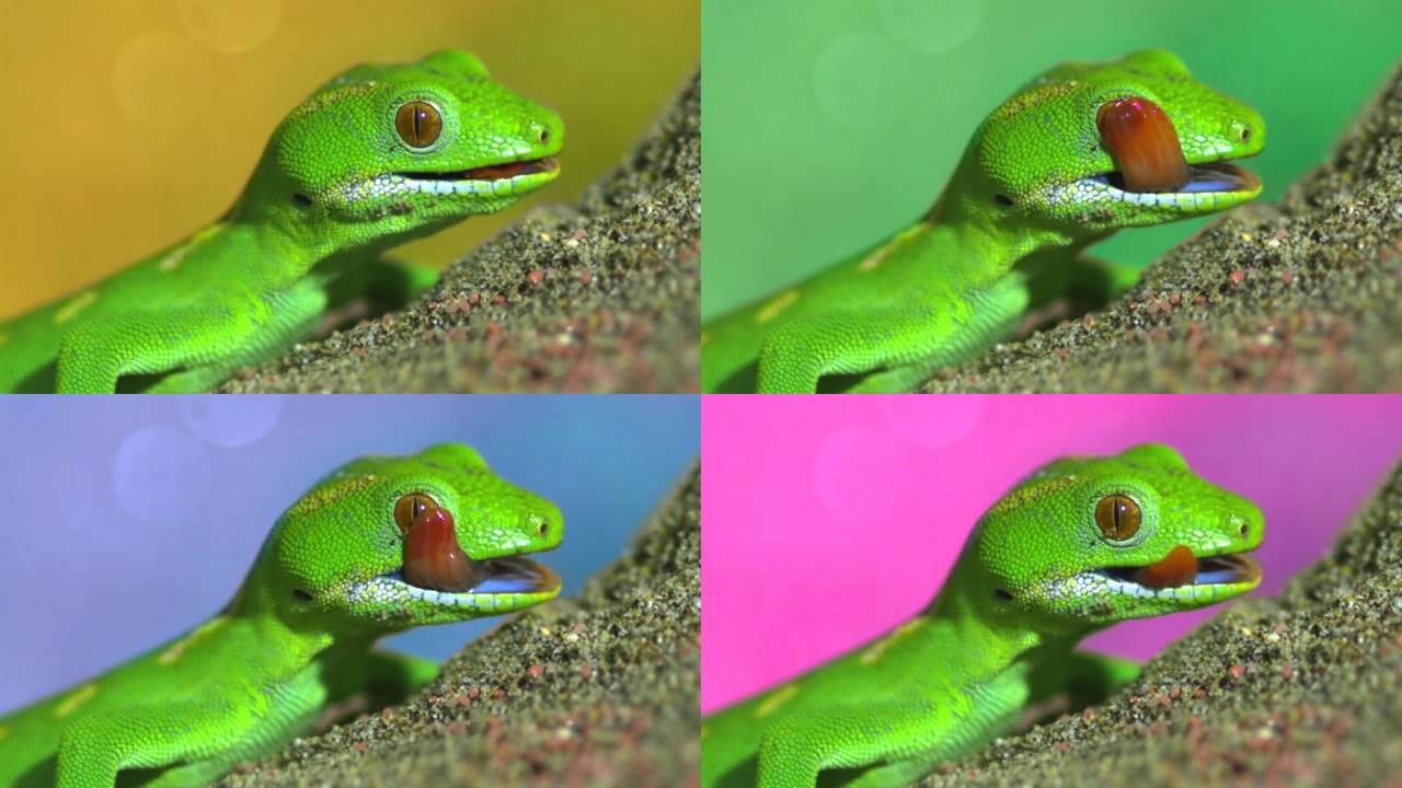 Daylylife (slowmo)