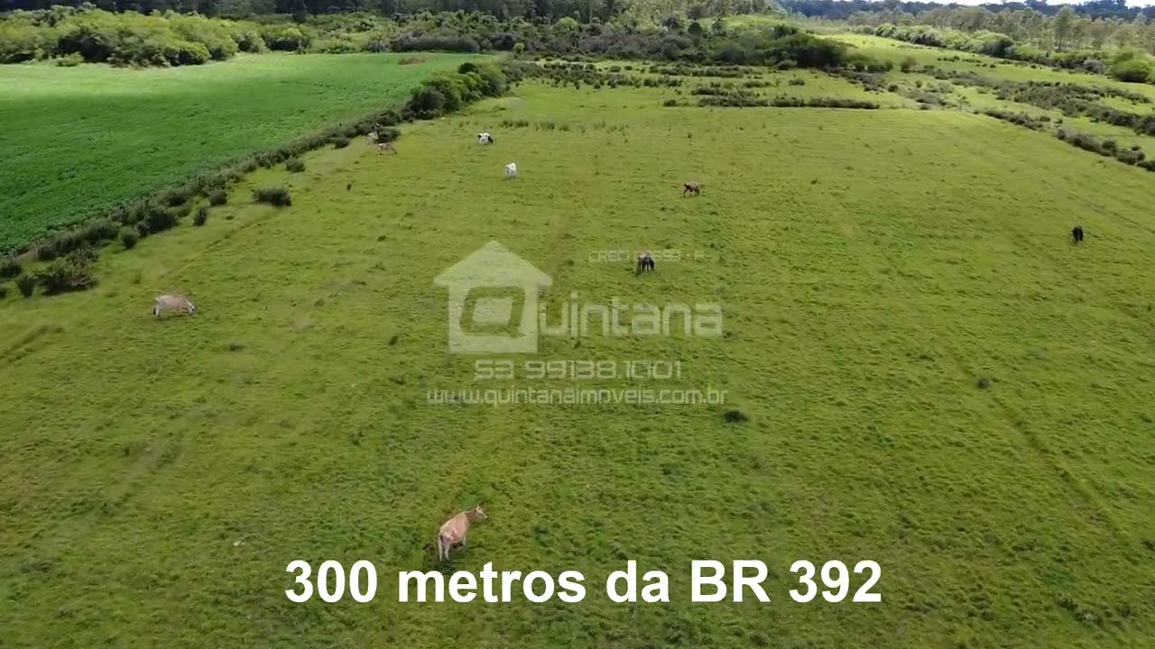 VENDO 5 HECTARES NA ÁREA INDUSTRIAL DE PELOTAS
