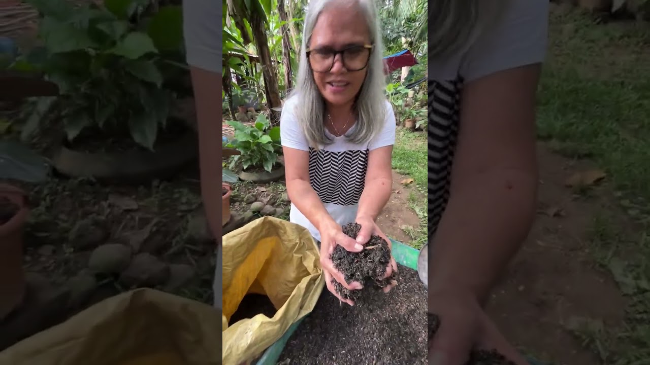 Hinakot konyong carbonize rice hall