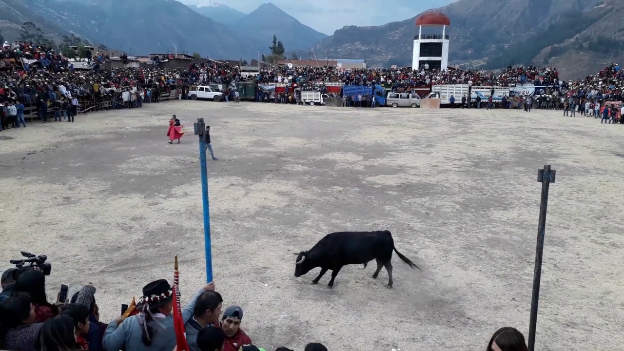 GRAN TARDE TAURINA | FIESTA DE CHIQUIÁN 2019