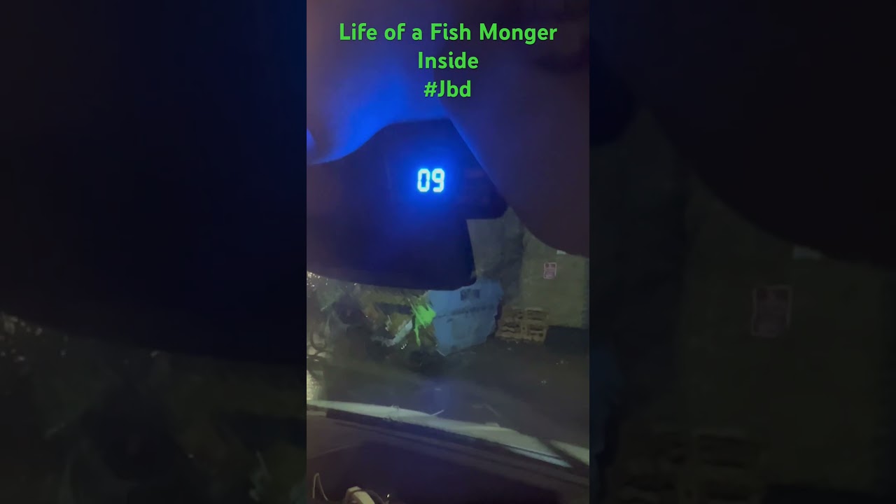 Day in a life of a Fish Monger Inside #freshfish #fishmonger #dayinalifevlog #Jbd #winning