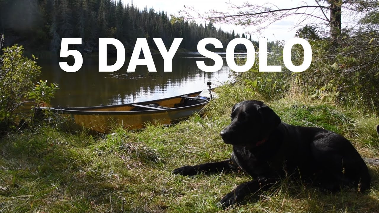 5 Day Solo Canoe Trip With My Dog - Bull Moose and Into Boulder Lake