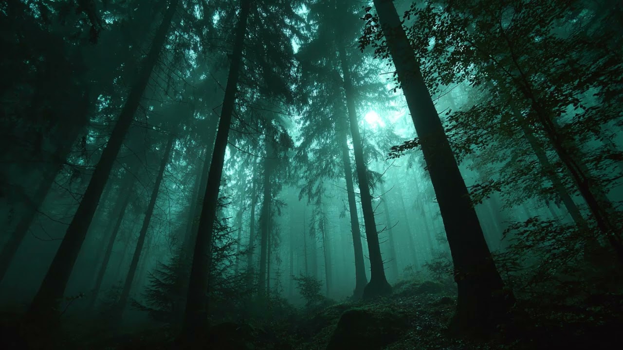 Whispering Pines at Dawn