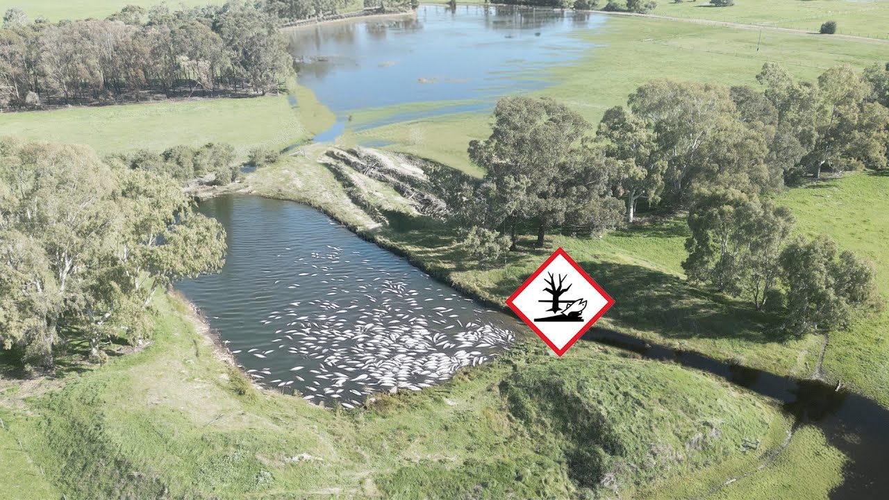The Dam/Pond Is Full So Why Am I Disappointed?