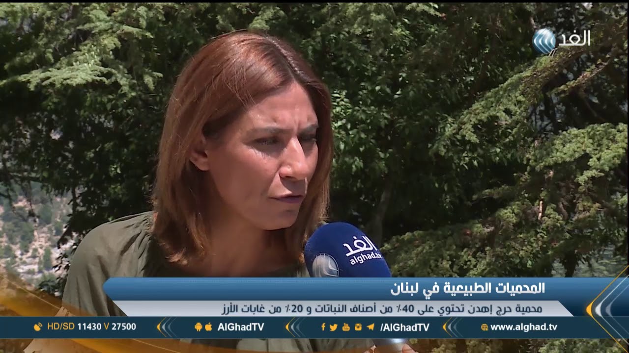 تقرير | حرج إهدن أهم محمية طبيعية في الشرق الأوسط من حيث التنوع البيولوجي