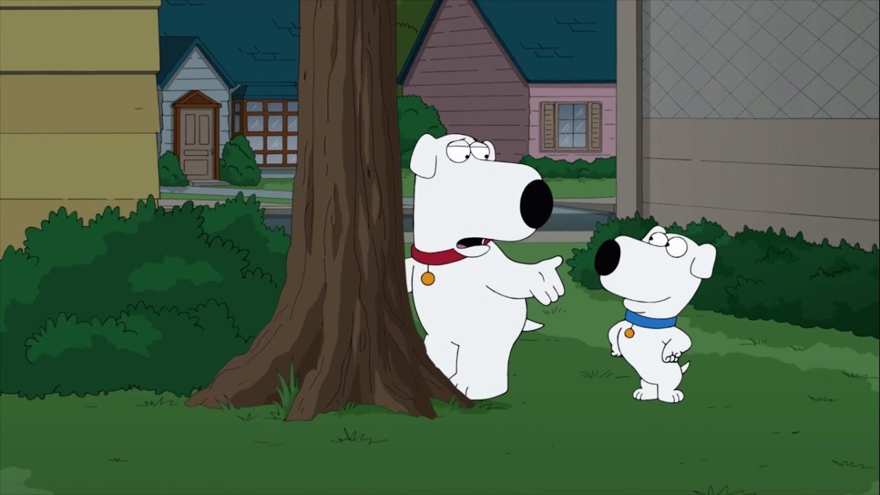 Family Guy -  Brian's nephew Scrappy