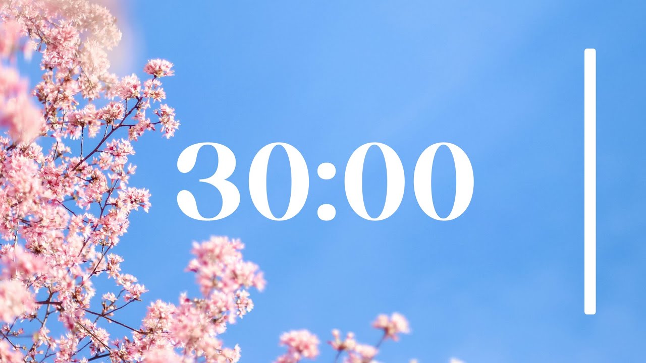 30 min timer with cherry blossoms & lofi 🌸