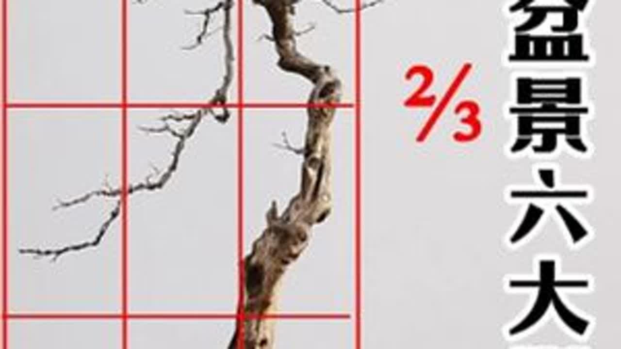 学盆景的六大误区 一招鲜吃遍天的盆景制作方法，真的很简单。#盆景制作 #盆景造型技巧 #盆景修剪
