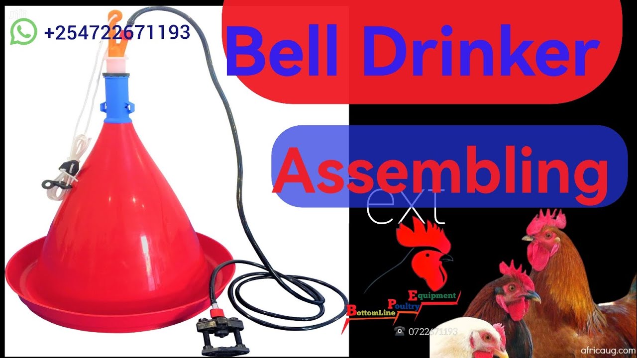 How to assemble poultry bell drinker