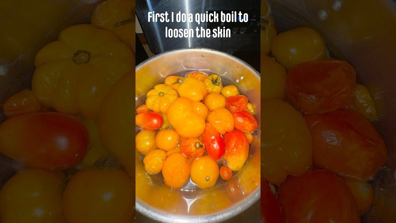 🍅😋Tomato Sauce Recipe 😋🍅