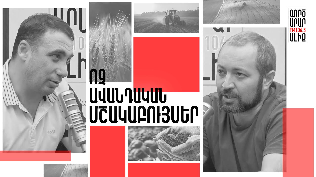 Սոցցանցերի ազդեցությունը սննդի բիզնեսում. Բերքուբարք