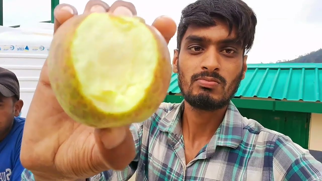 दरवाजे की कुंडी और चौखट कैसे ठीक करें? 🛠️ | Carpentry Work Vlog
