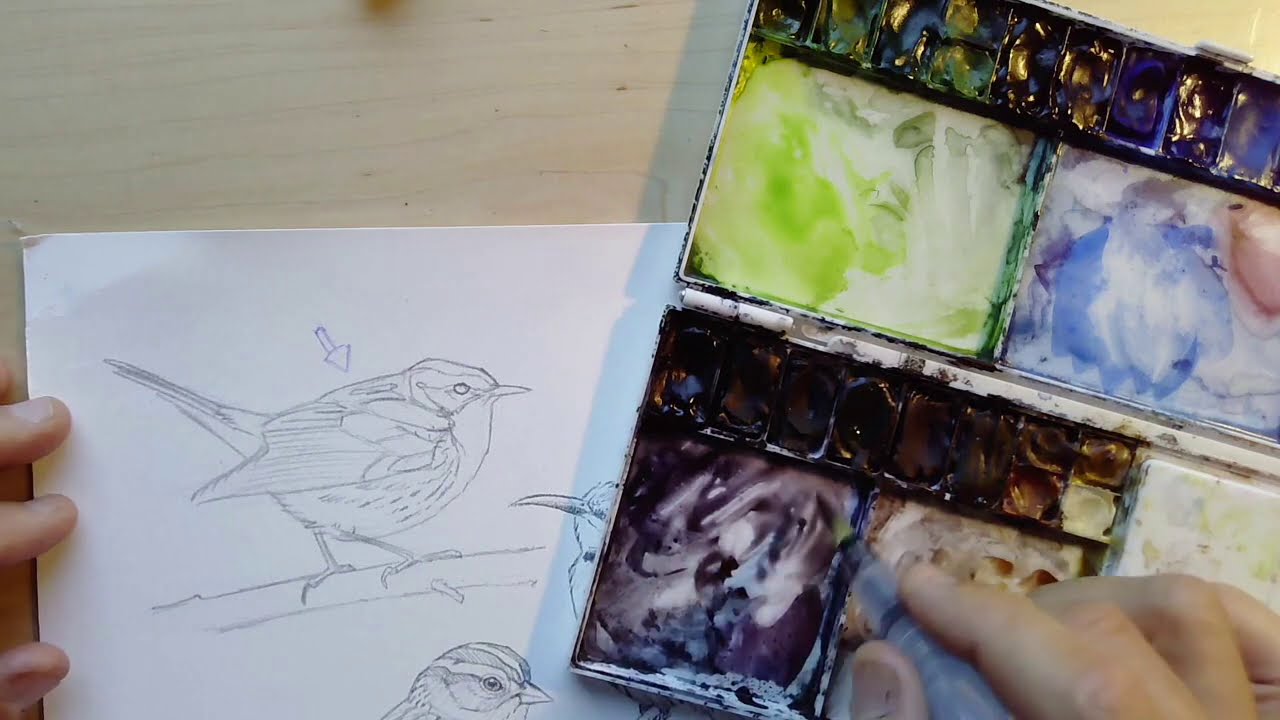 Watercolor birds part 1