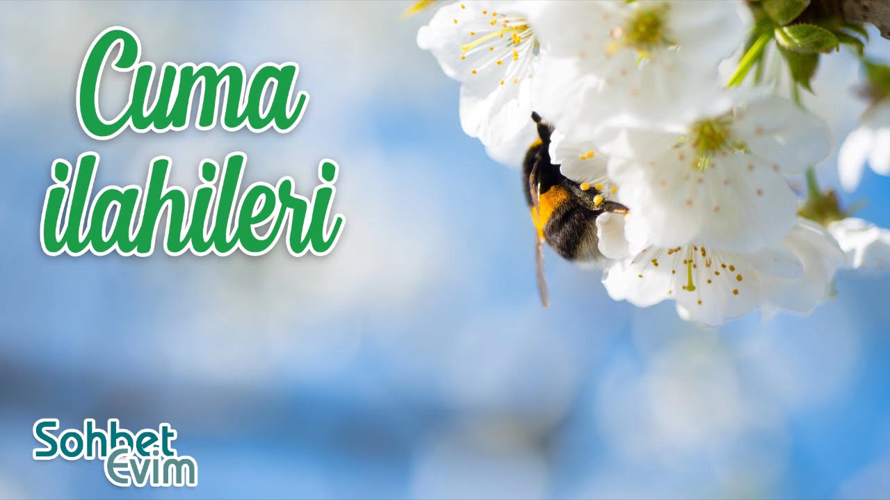 Cuma İlahileri 💖 En Sevilen İlahiler 💖 En Güzel İlahiler 💖 Karışık İlahiler 🌹 Sohbet Evim