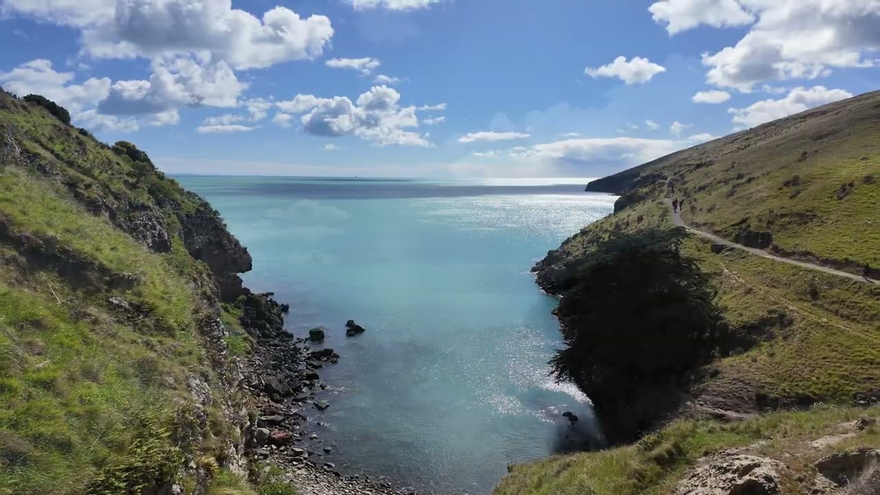 The Awaroa Godley Head Loop Track . . .