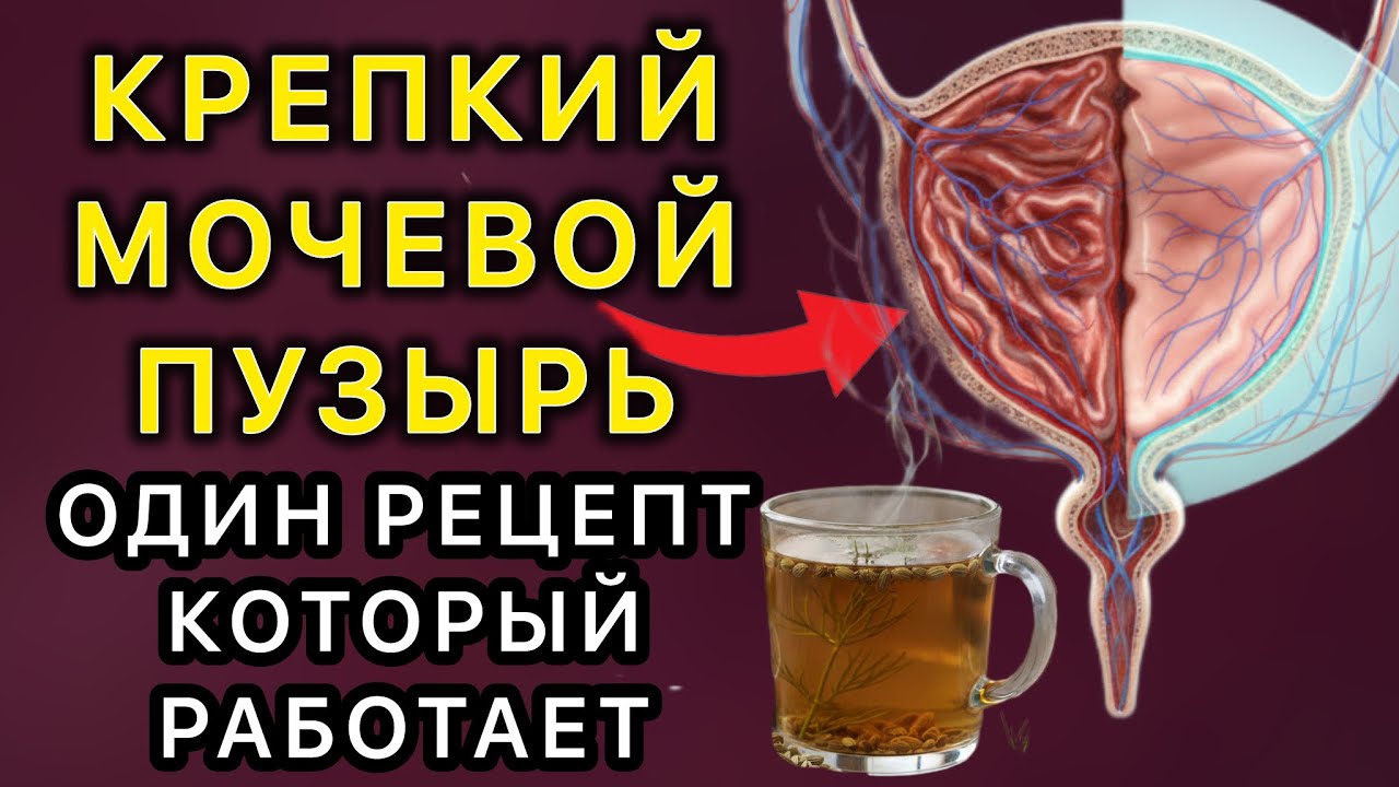 ЖЕЛЕЗНЫЙ МОЧЕВОЙ ПУЗЫРЬ! НОЧНЫЕ ПОЗЫВЫ ИСЧЕЗНУТ, РЕЦЕПТ КОТОРЫЙ РАБОТАЕТ! 