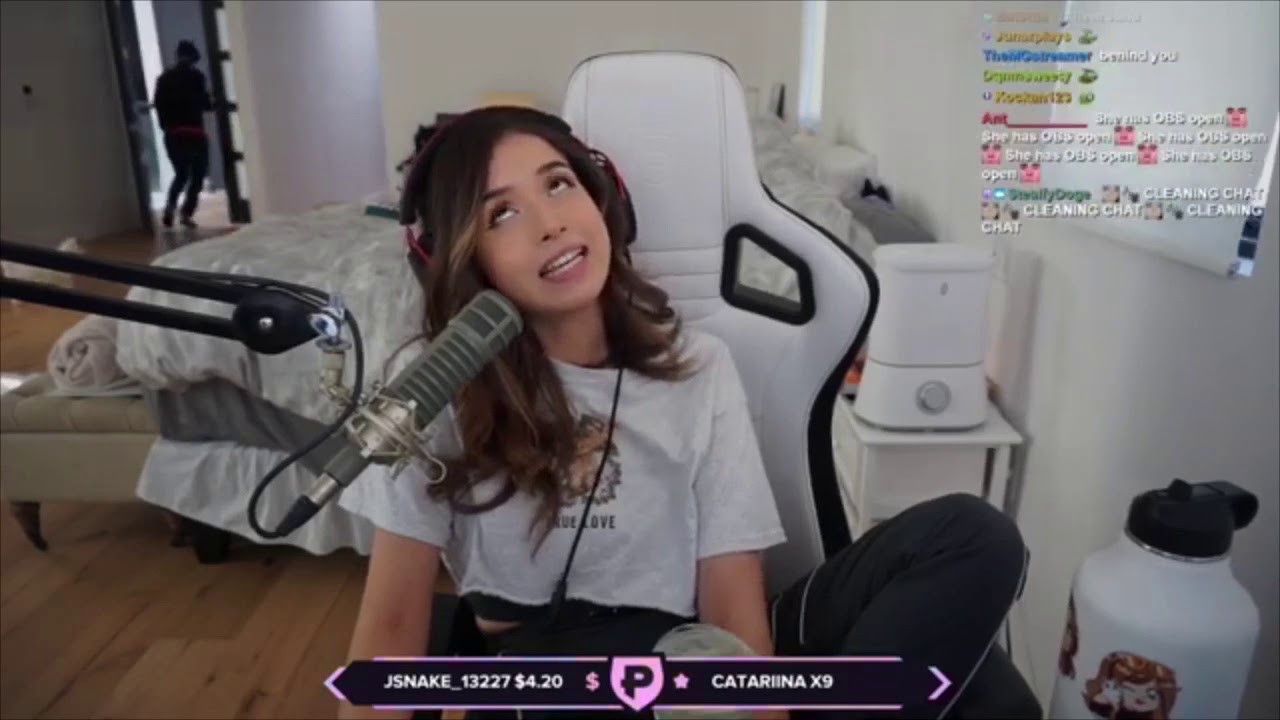 Pokimane getting robbed by Lunch Club with Payday music over it