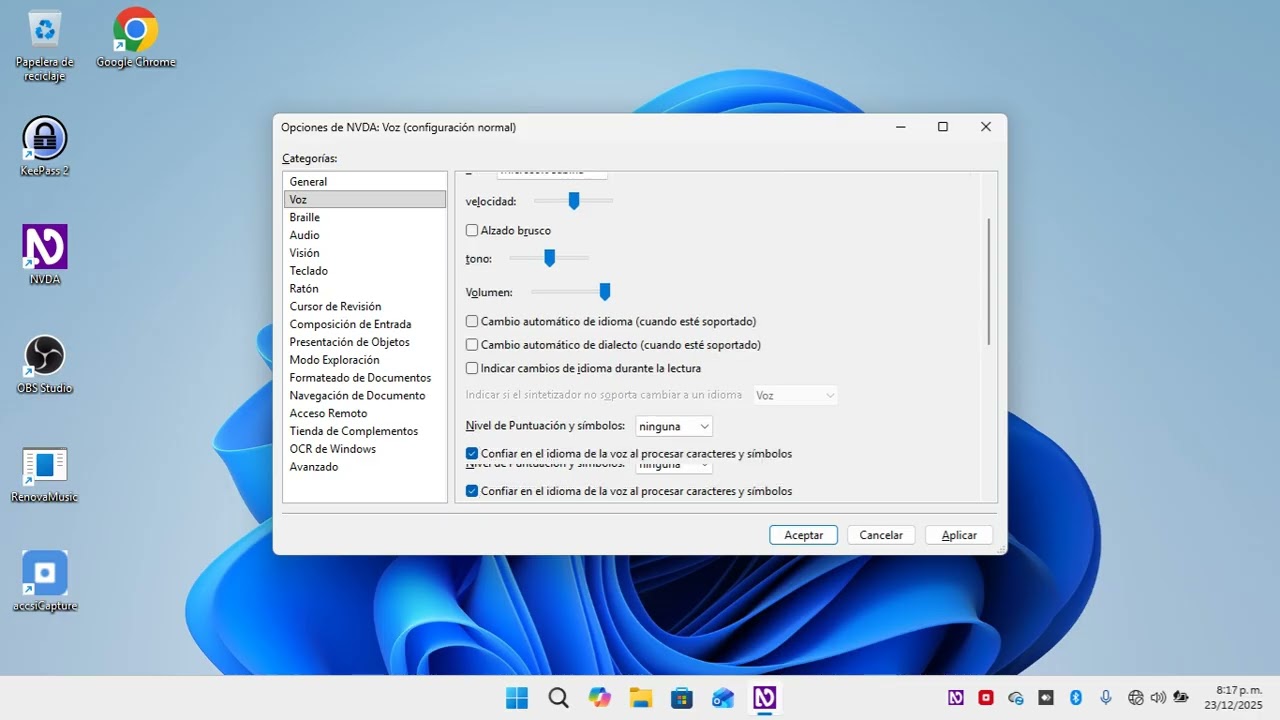 Configurando las opciones de Voz y Audio De NVDA