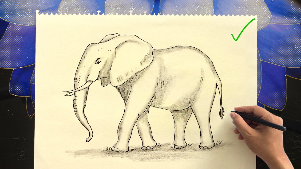 Elephant Drawing for Beginners | How to Draw an Elephant Step by Step easy