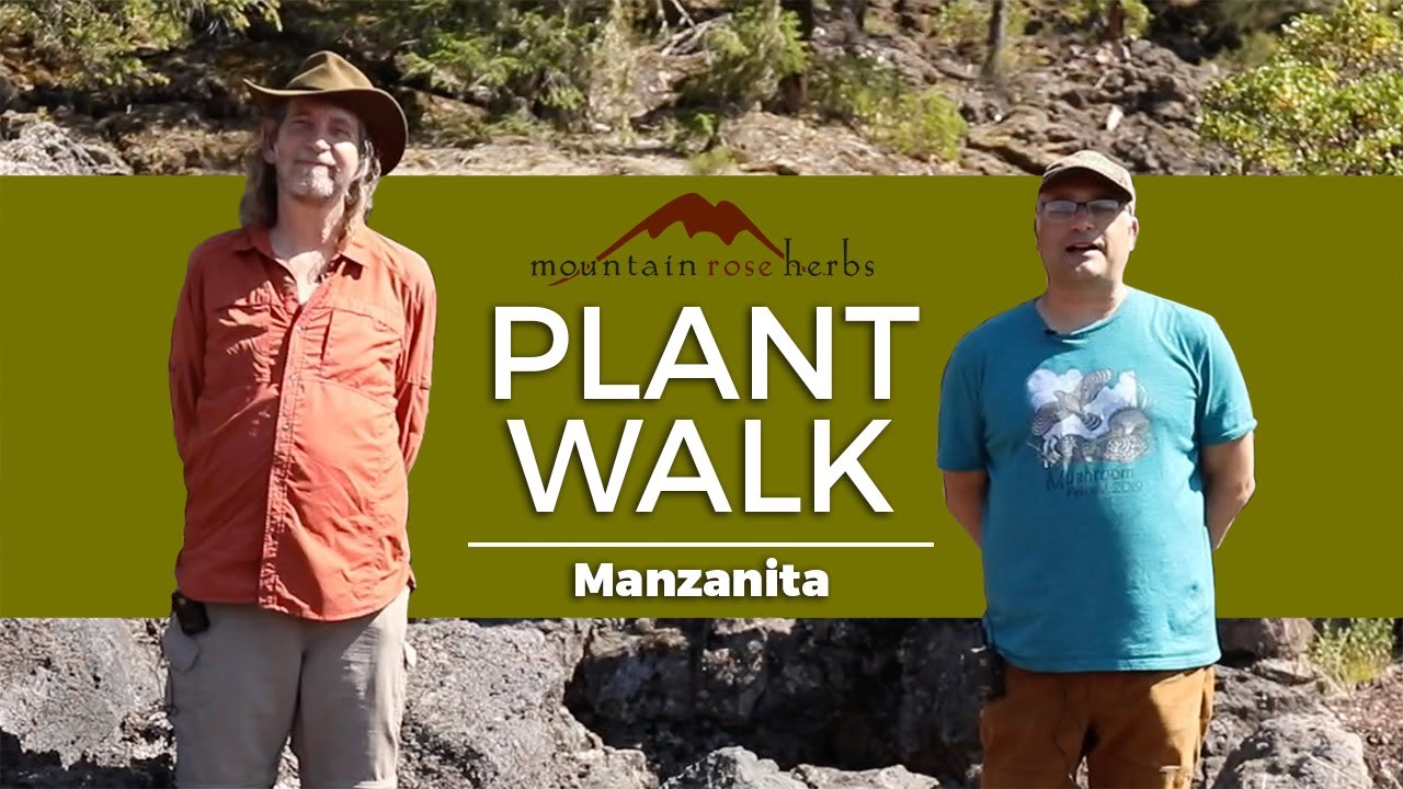 Manzanita, Plant Walk with Howie Brounstein and Steven Yeager