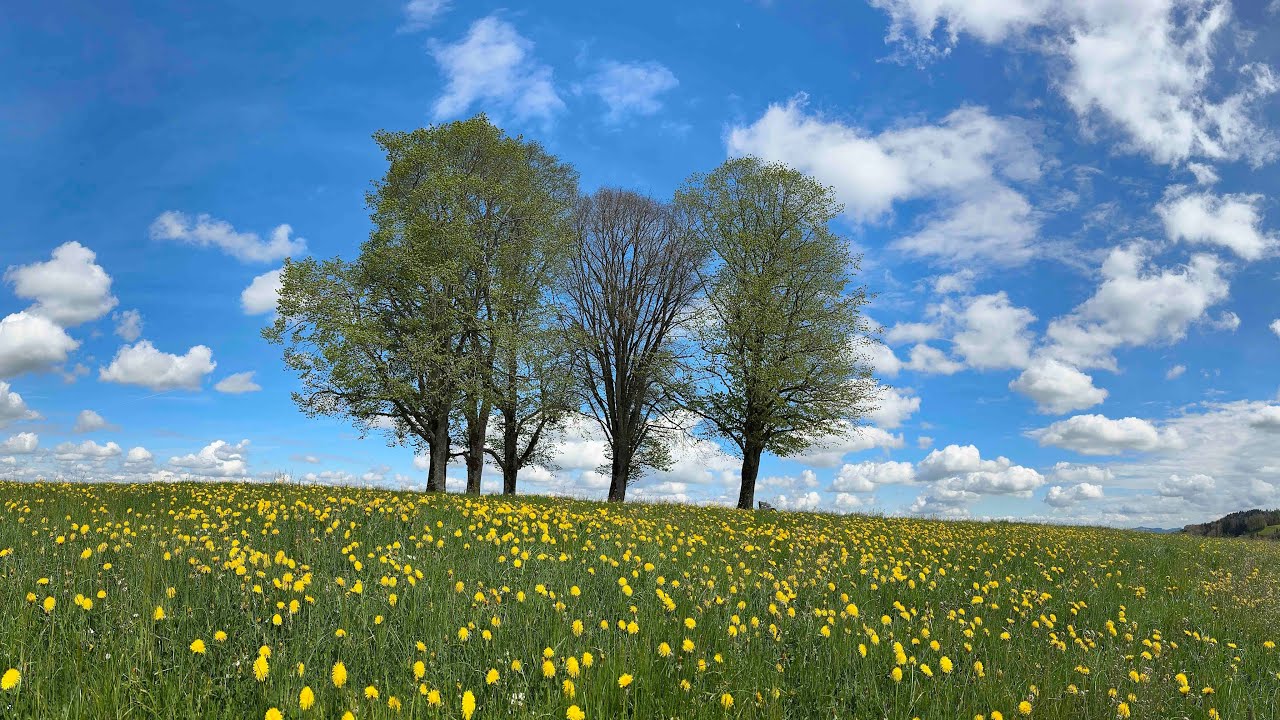Fr&uuml;hlings-Spaziergang Winzenberg Tufertschwil